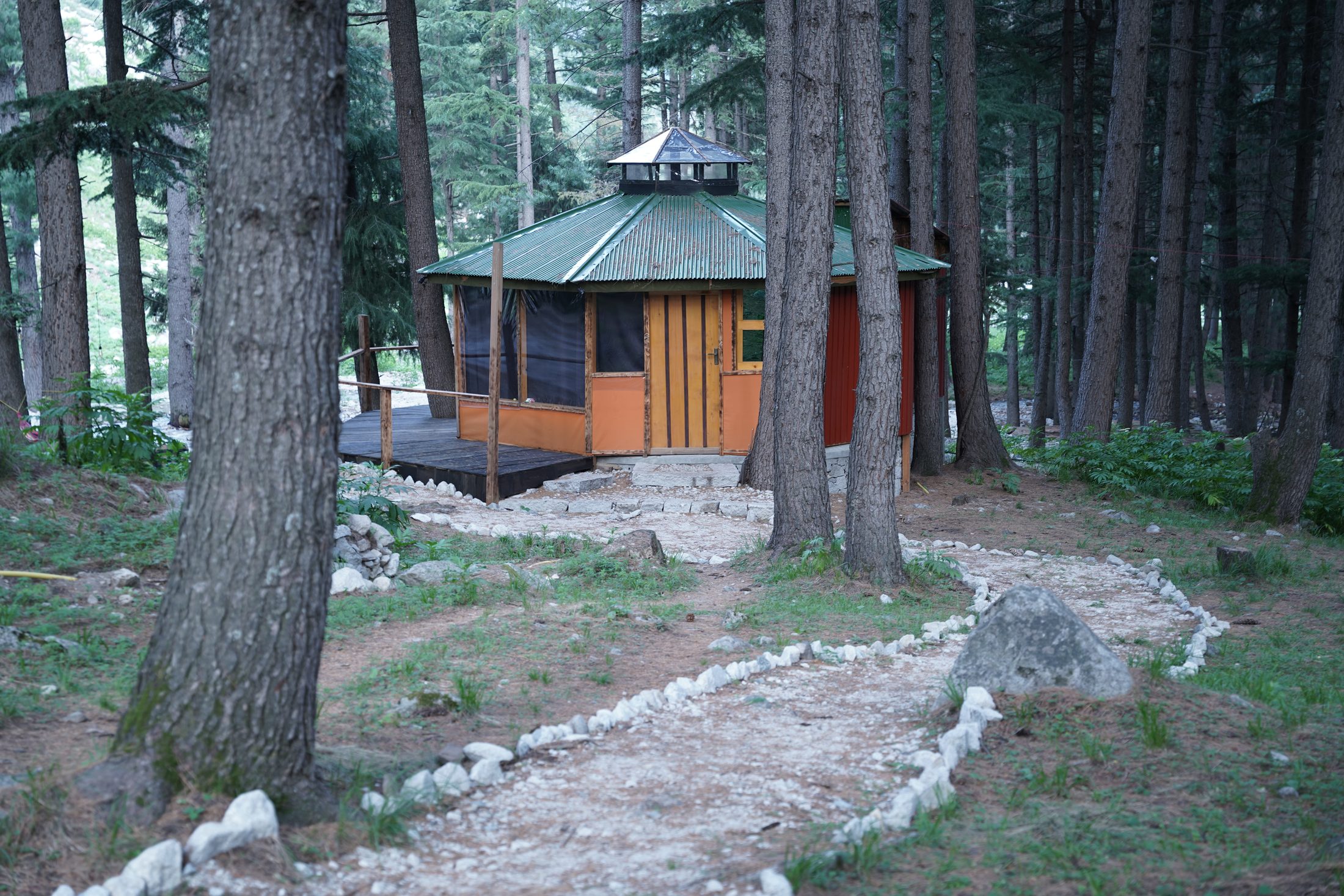 Loft among deodar trees